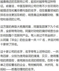 深聊 为什么中国互联网公司起名喜欢用动物 植物和叠词 