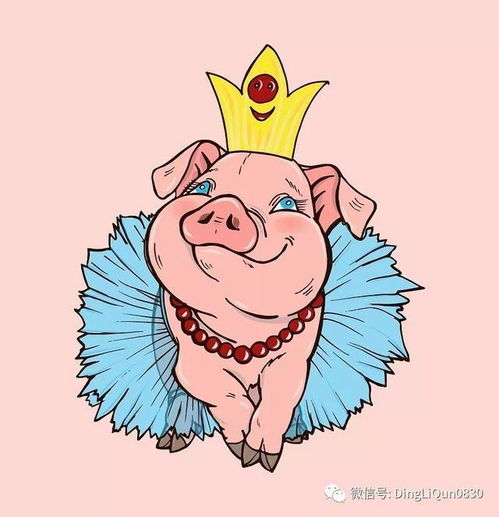 美图分享 2019年 十二星座的猪