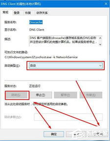 win10上网显示dns服务器未响应