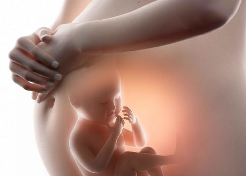 原创孕期这种方法摸肚子，或会导致胎儿缺氧，提醒：摸肚子时应这样做