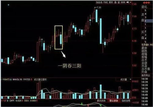 股票代号中的首个数字分别表示什么意思？