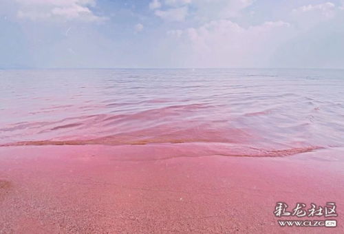 沙滩遛弯特效怎么弄好看？抚仙湖粉色沙滩滤镜怎么用