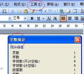 在Microsoft Office Word 2003里怎样数字数 