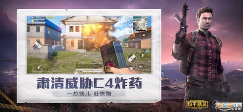 pub和平精英（pub和平精英画质修改器）