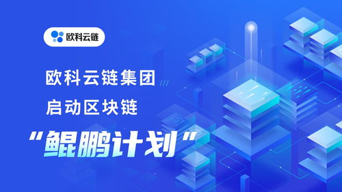 onecoin支付;onecoin维卡区块链程成