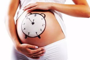 怀孕最佳时间 怀孕的最佳月份是几月份