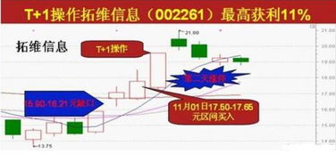 求教高手 公司 干股 分配法