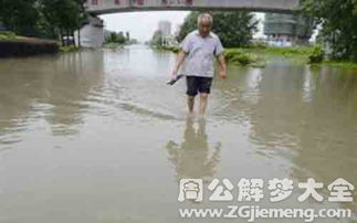 梦见走路趟水是什么意思 梦到走路趟水好不好 大鱼解梦网 