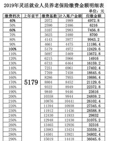 泰安灵活就业社保缴费多少(山东灵活就业养老保险)