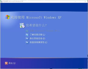 win10装完xp后不显示