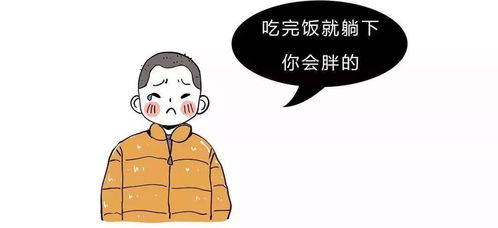 吃完饭就躺下真的会越来越胖吗 什么运动最减肥