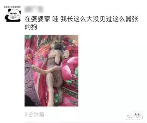 长时间异地恋的男女,见面后会干什么 哈哈哈