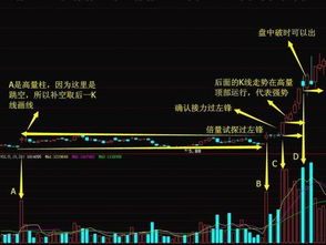 散户如何跟庄？