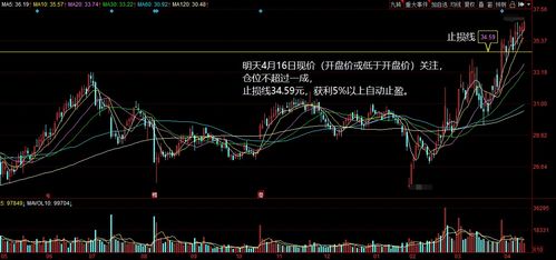 可以查看每天股票动态的股票网