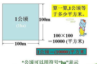 1公顷是100亩地正确吗 1公顷等于几亩