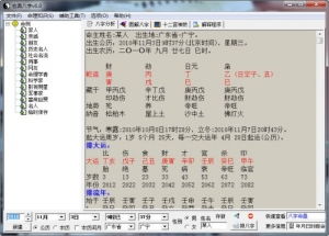 玄奥八字 专业八字算命软件 V7.0官方版下载 