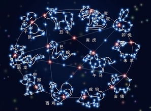 12星座图片 太甜蜜的爱 我放不下