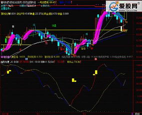 股票趋势行情看哪个指标比较准?