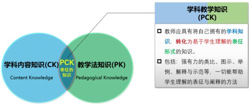 需要语言的专业知识