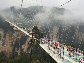 外媒称中国玻璃桥 遍地开花 或出现审美疲劳 