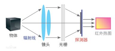 树林红外成像原理图片