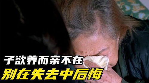 16年前的温情电影 独居老人与一个学生的我感人故事