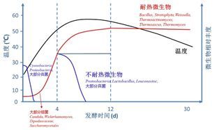 首株以 老窖 命名的新菌株成功分离,揭秘 窖龄老,酒才好