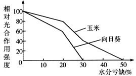 怎么测叶子里的水分