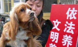 多地出台养犬规定引热议 限定品种一户一犬 如何 管人 才科学