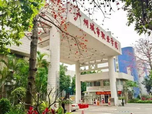 广州十大公办职业学校(广州城建学院是什么学校)