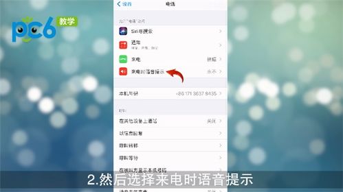 苹果来电显示怎么开 苹果来电报名字怎么开 PC6教学视频 