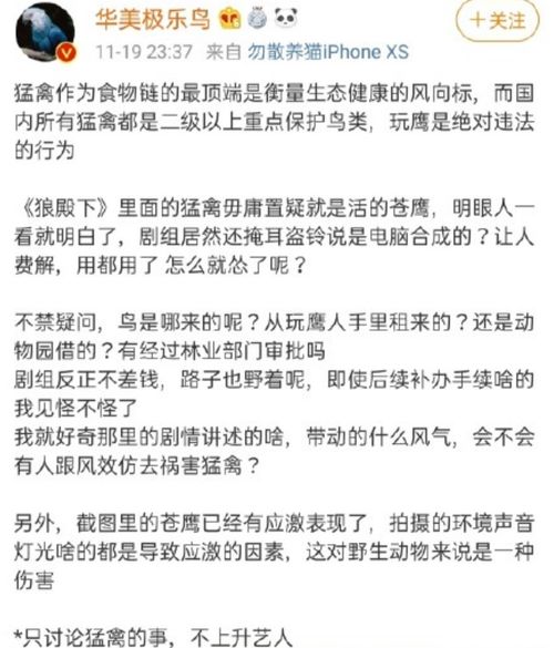 狼殿下 CG事件出现反转,网友晒出剧组训鹰师名字,肖战是无辜的