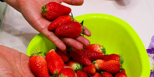 自己种的草莓怎么才能