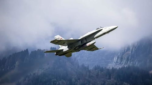 瑞士好难办 是否买新战机要全民公投,美欧四款战机竞标就挑花眼