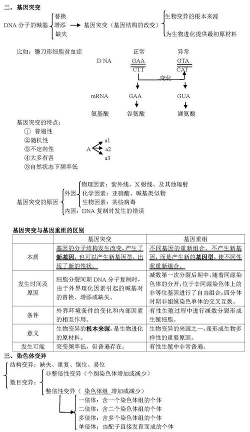 高中生物知识点思维导图