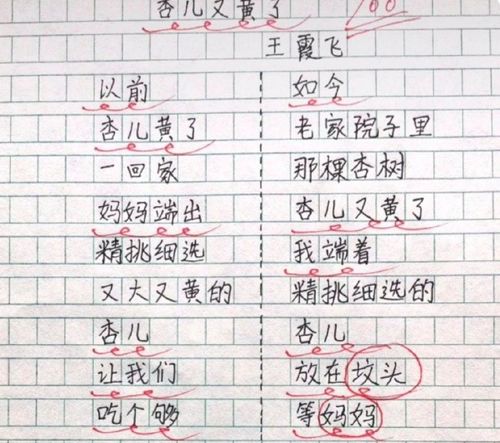 欣慰的作文600字左右