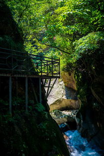 安徽石台夏日避暑胜地,景美人少名字还好听,速度加入旅行计划