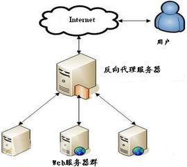 免费代理服务器vpn的简单介绍在线代理proxy 海量ip池 注册免费用