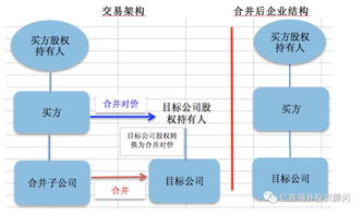 “反向合并公司”是指什么公司？