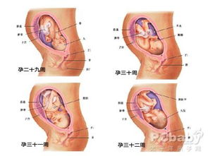 怀孕两个月有啥症状，怀孕两个月的症状