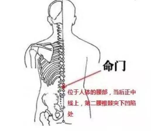 中医艾灸养生 艾灸必知的这几个穴位 