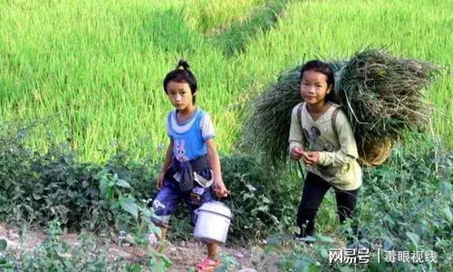 不要鼓励农村的孩子上大学,不然农村就没人种地了