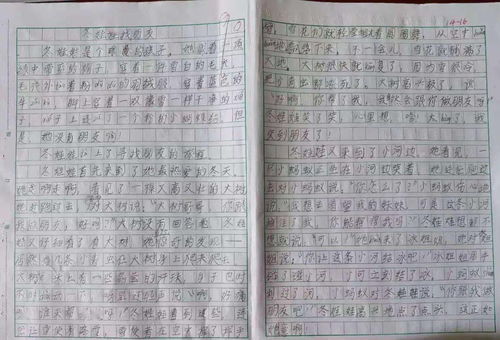 春节作文300字作文优秀