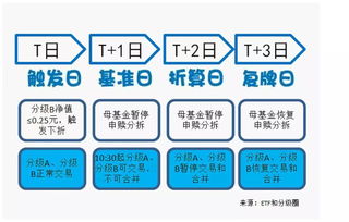 证券信用账户中如何处理分级B基金和母基金