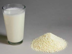 牛奶和奶粉哪个有营养哪个更好
