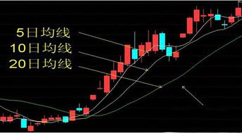 跪求股票的相关知识