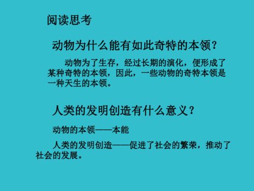 探索人生的真谛 道德与法治 