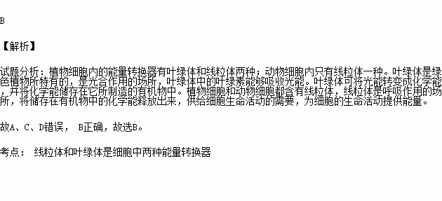 细胞中的能量转换器是 .A.细胞质和细胞膜B.线粒体和叶绿体C.细胞膜和叶绿体D.线粒体和细胞壁 题目和参考答案 青夏教育精英家教网 