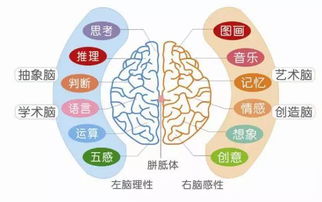 别害羞 大声朗读英文的作用超过你想象