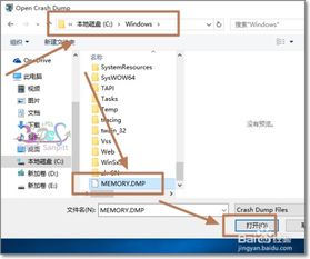 怎么查看win10蓝屏